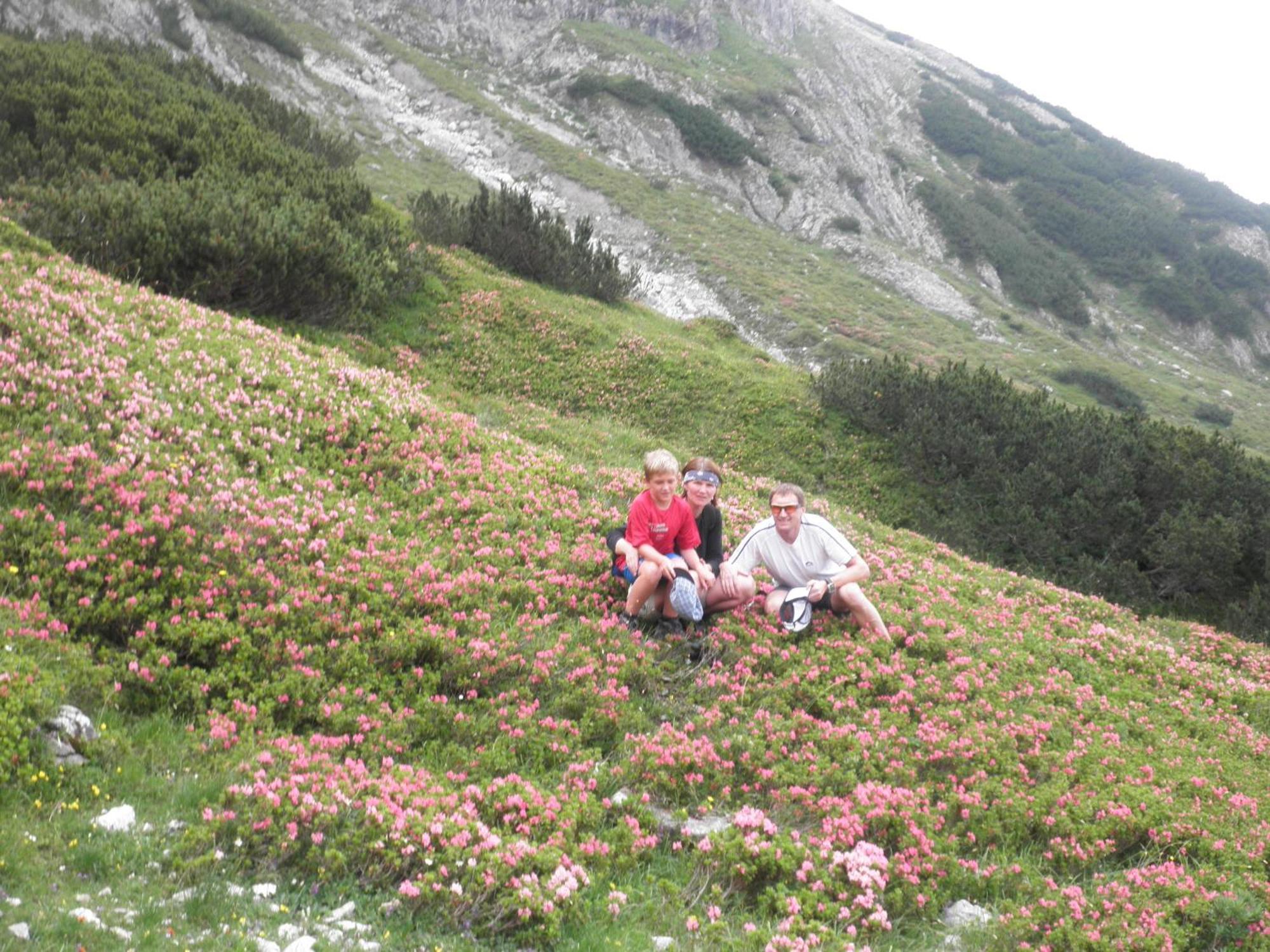 Haus Sommerstein มาริอาอาล์ม อัม ชไตเนอร์เนินเมียร์ ภายนอก รูปภาพ